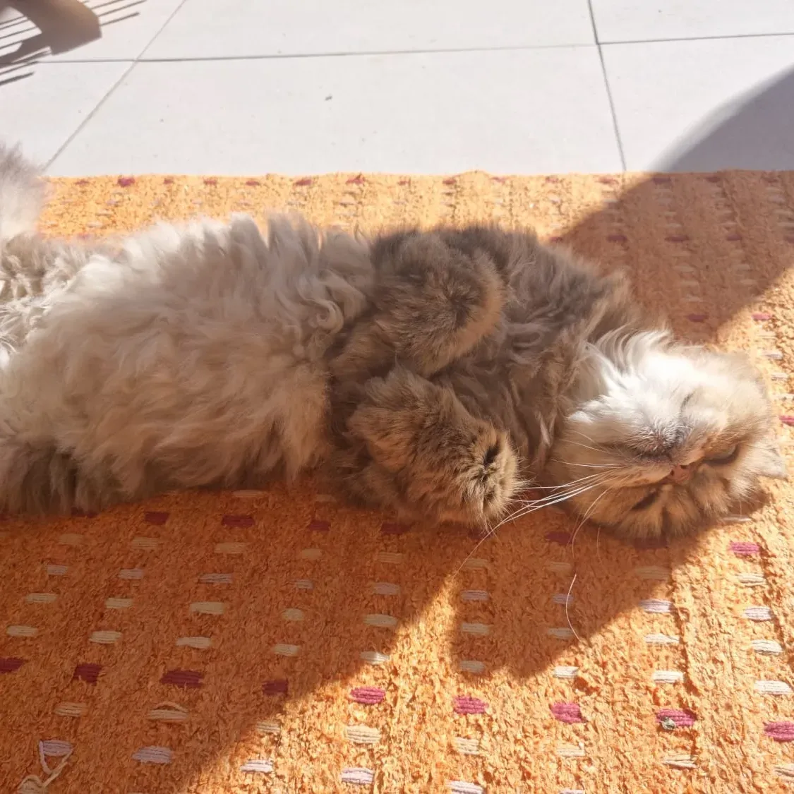 Review image 4 from Amelia Venter